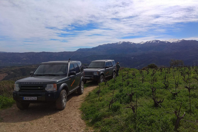 Private Exclusive Manousakis Winery and Vineyard Tour