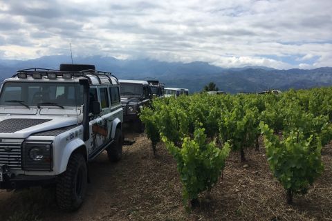 Private Exclusive Manousakis Winery and Vineyard Tour