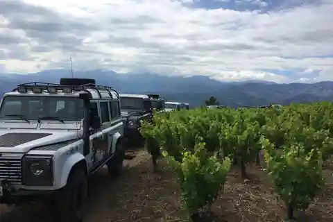 Private Exclusive Manousakis Winery and Vineyard Tour