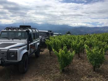 Tour privado y exclusivo de las Bodegas y Viñedos Manousakis