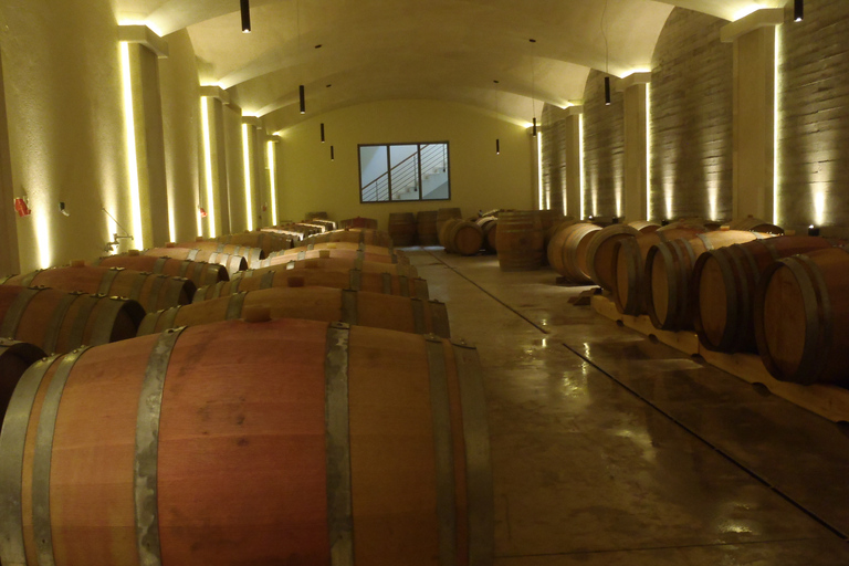 Private Exclusive Manousakis Winery and Vineyard Tour