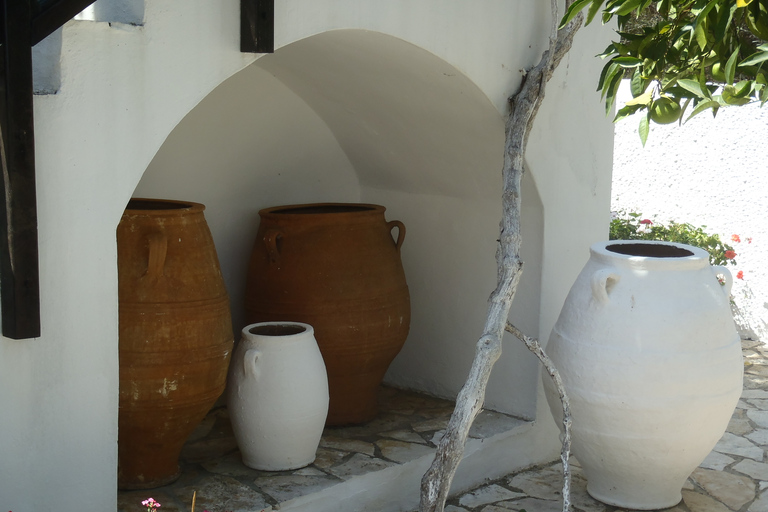 Private Exclusive Manousakis Winery and Vineyard Tour