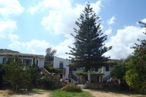 Private Exclusive Manousakis Winery and Vineyard Tour