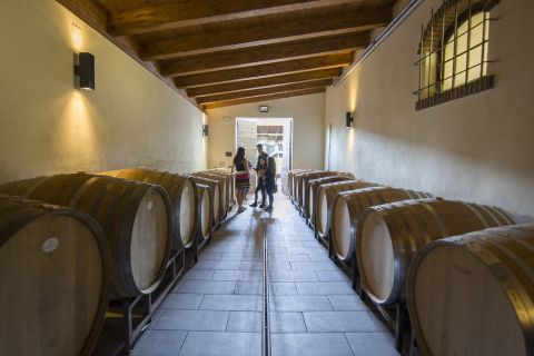 Альба: частный тур с дегустацией вин Barolo на полдня