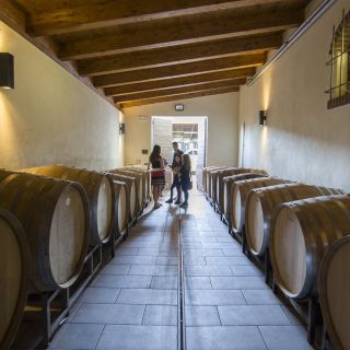 Alba: Half-Day Barolo Wine Tasting Private Guided Tour