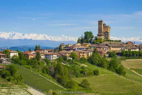 Alba: tour guidato privato di mezza giornata con degustazione di vini Barolo