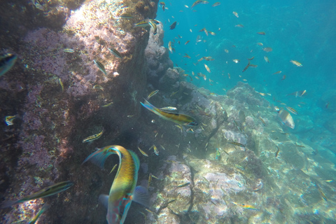 Madère: excursion d'une demi-journée en kayak et plongée en apnée