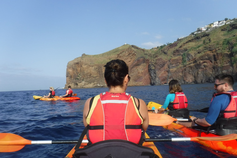 Madère: excursion d'une demi-journée en kayak et plongée en apnée