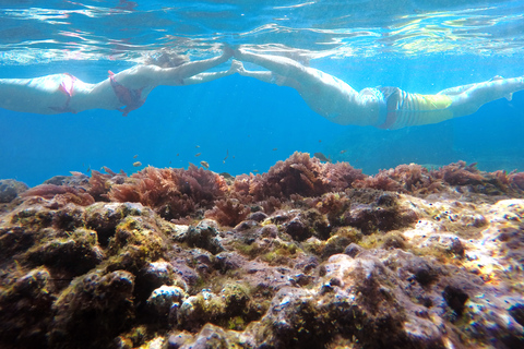 Madeira: Halbtägige Kajak- und Schnorcheltour