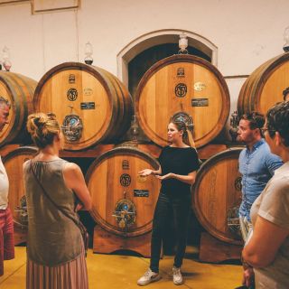 Half-Day Wine Tasting Tour in Valpolicella from Lake Garda