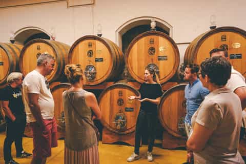 Half-Day Wine Tasting Tour in Valpolicella from Lake Garda