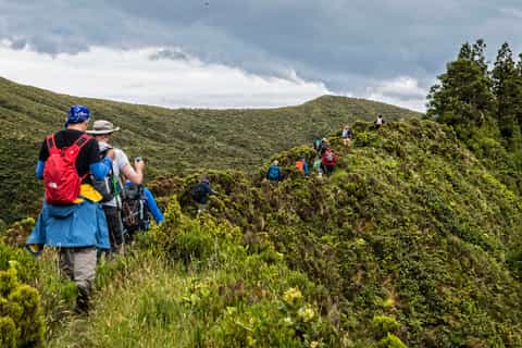 São Miguel: Sete Cidades and Crater Lakes Hike
