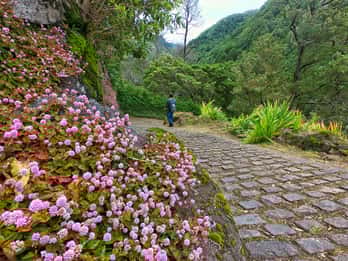 Açores: Caminhada guiada Salto do Prego - Sanguinho