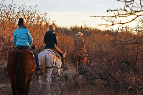 East Zion: Pine Knoll Horseback Tour