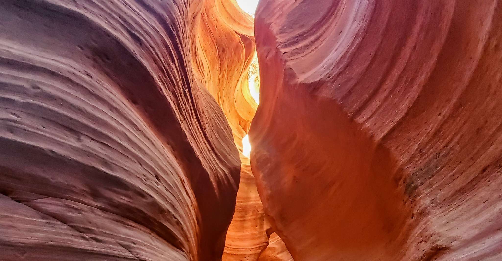 East Sion, Crimson Slot Canyon Exploration e UTV Tour - Housity
