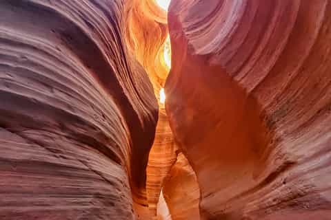 East Zion: Slot Canyon Exploration i UTV Tour