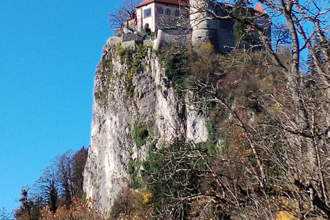 Trieste: Lake Bled & Radovljica Private Day Trip