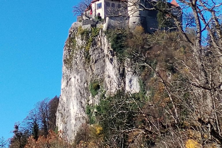 Trieste: Lake Bled & Radovljica Private Day Trip