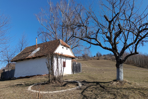 Brașov Transylvania: Guided Hike with Mountain Guide
