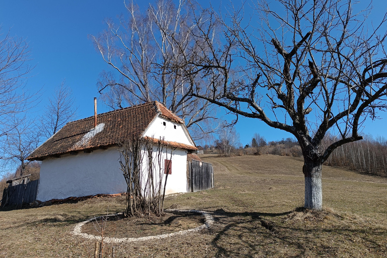 Brașov Transylvania: Guided Hike with Mountain Guide