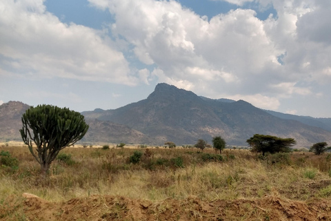 Uganda: 3 Days Exploring Pian Upe Wildlife Reserve