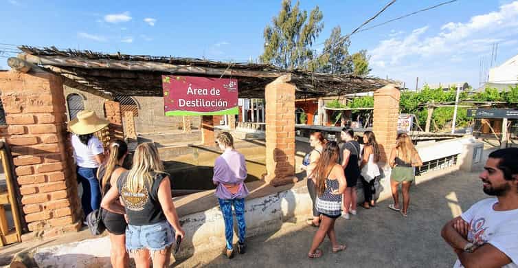 Colagem de mídia