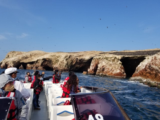 Visit From Paracas Scenic Boat Tour to Ballestas Island in Paracas, Ica