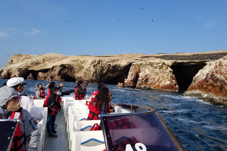 From Paracas: Scenic Boat Tour to Ballestas Island