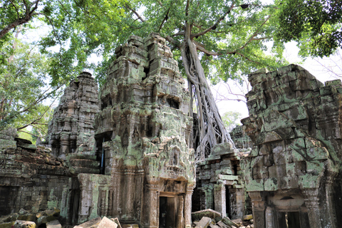 Siem Reap: Hel dag med tempel med privat transportPrivat minibuss (15 passagerare)