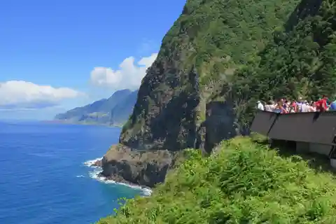 Madeira : Experiencia vinícola privada en 4x4