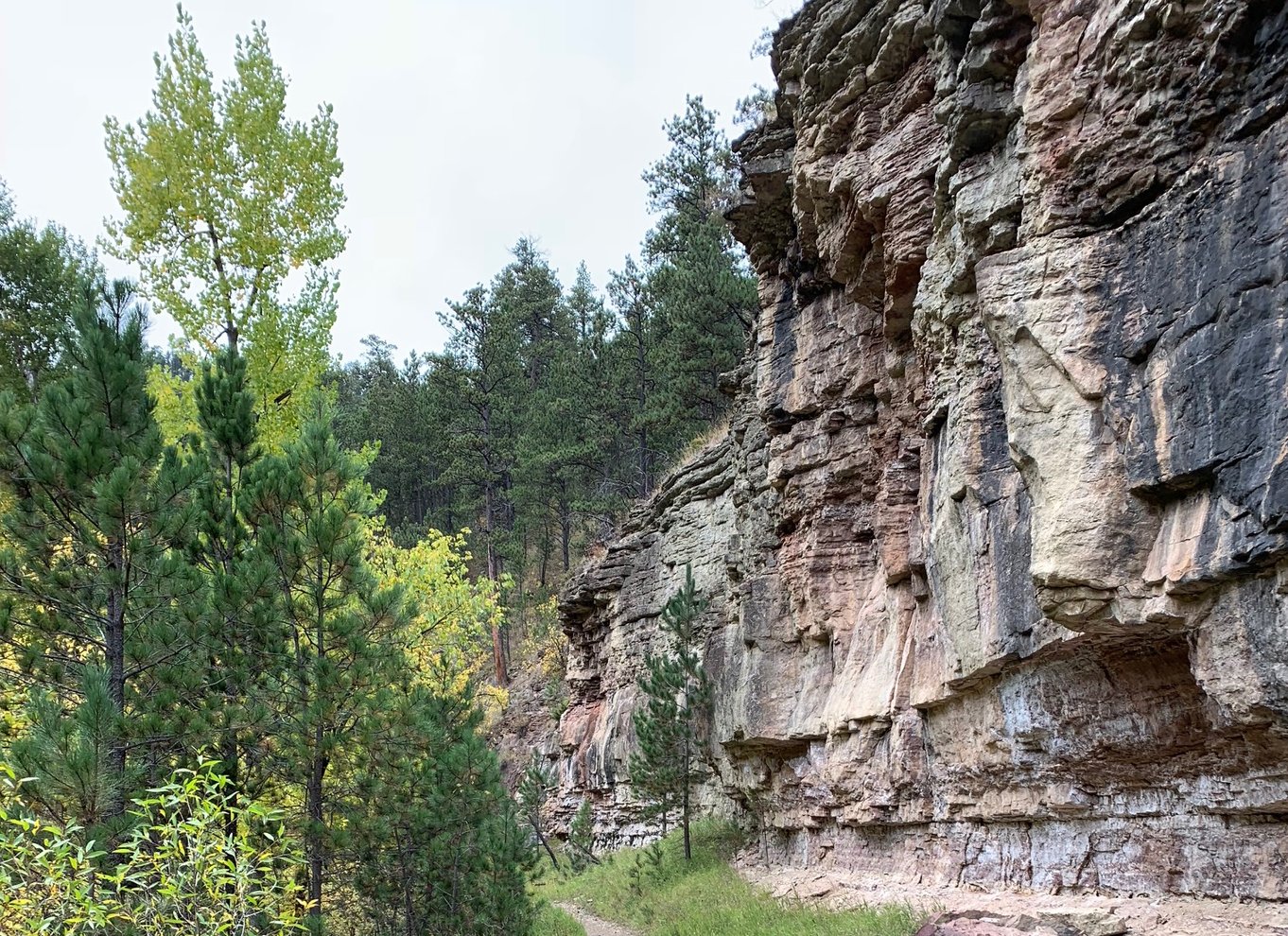 Black Hills: Privat rundvisning i Mt. Rushmore & Flume Trail Hike