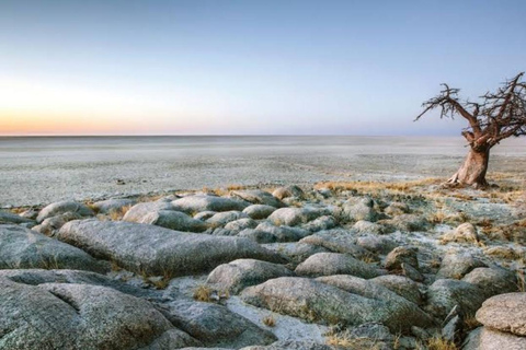 Botswana: Makgadikgadi Pans Day Trip