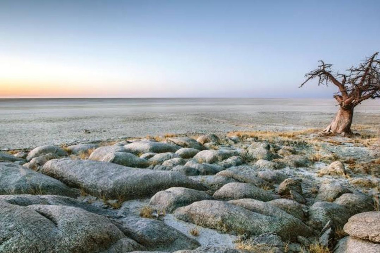Botswana: Makgadikgadi Pans Day Trip