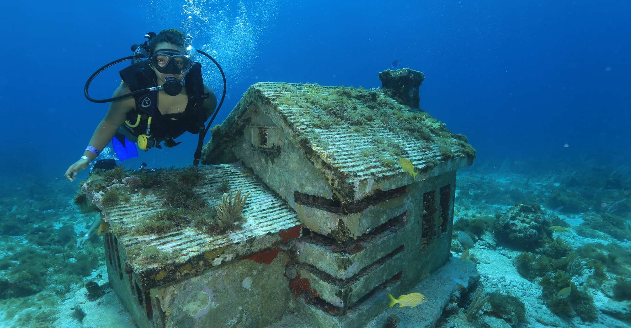 Cancun, Scuba Diving for Beginners, 2 Dives - Housity