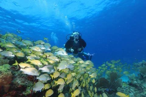 Cancun: nurkowanie dla początkujących, 2 nurkowaniaCancun: nurkowanie dla początkujących, 2 zbiorniki