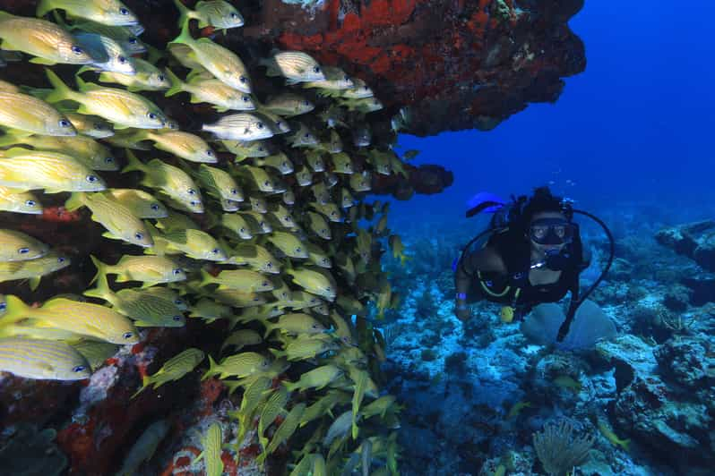 cancun scuba diving without tanks