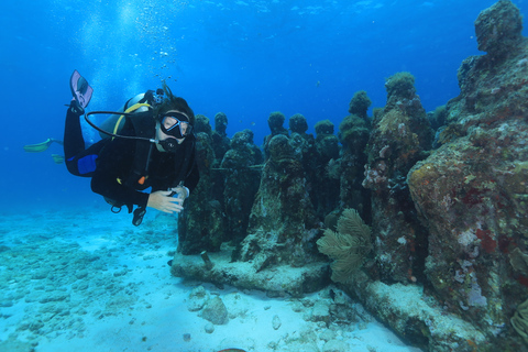 Cancun : plongée sous-marine pour plongeurs certifiés sur 3 sitesMusée sous-marin MUSA pour plongeurs certifiés, 2 plongées