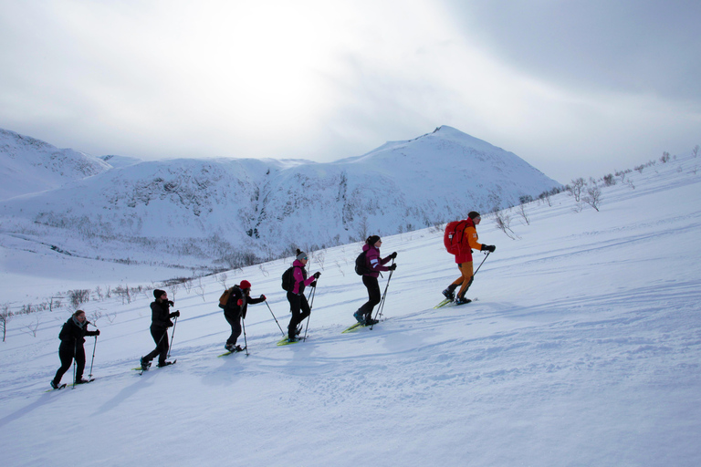 Tromsø: Guided snowshoe hill hike