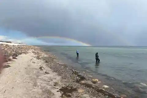 Fehmarn Heiligenhafen: Angel Tour Meeresangeln mit einer kleinen Gruppe