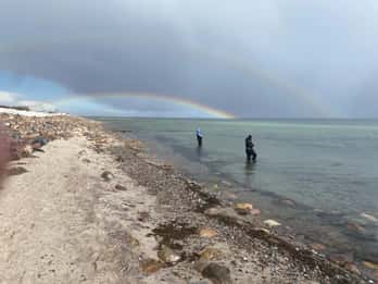 Fehmarn Heiligenhafen: Fishing tour sea fishing with a small group