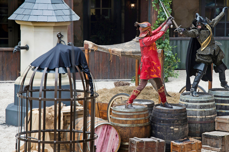 Kaatsheuvel: Efteling Theme Park Day Admission Ticket 2025 Efteling Theme Park Day Admission Ticket