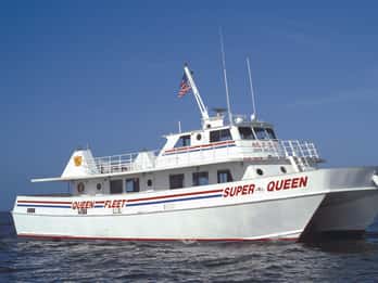 Von Orlando: Clearwater Beach Tiefseefischen Abenteuer Von Orlando: Clearwater Beach Tiefseefischen Abenteuer