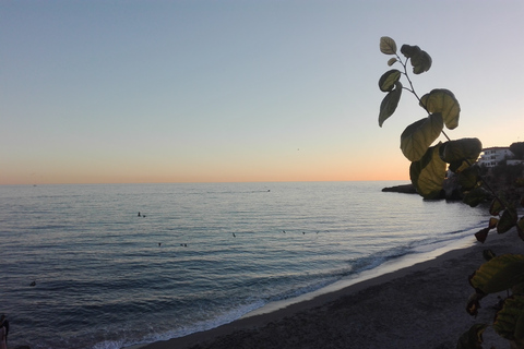 Depuis Malaga : coupe-file grottes de Nerja et Frigiliana