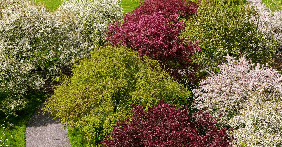 New York Botanical Garden: KUSAMA Garden Pass Ticket