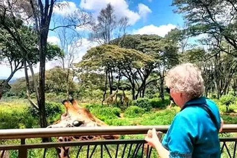 Mombasa: Guided City Tapestry, History & Cultural Experience Mombasa: Guided City Tour & Haller Park Giraffes Experience.