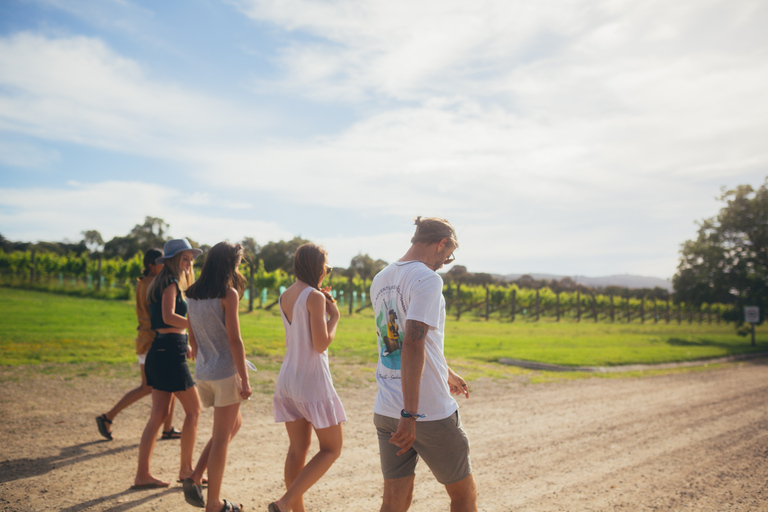 Mornington Peninsula Paddle, Pinot & Pools - Ganzer TagVon Melbourne: Ganztägige private Mornington Peninsula Tour