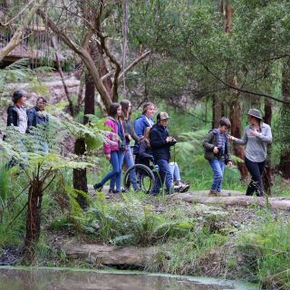 Great Ocean Road: Guided Wildlife Walk that Supports Nature