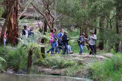 Great Ocean Road: caminhada guiada pela vida selvagem que apoia a natureza