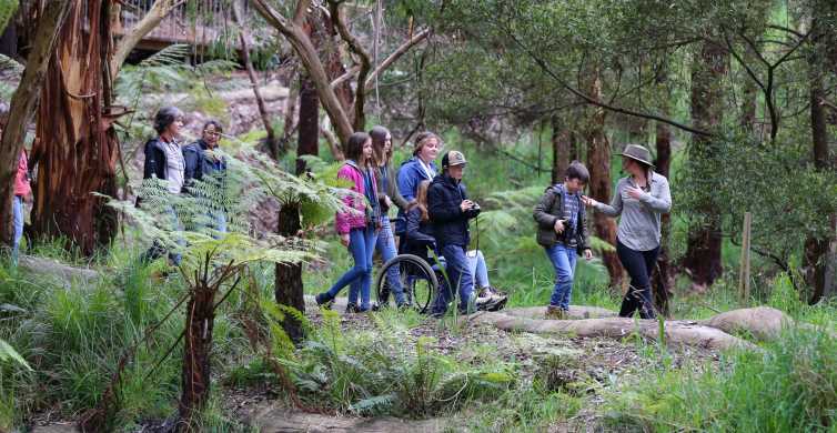 Great Ocean Road Guided Wildlife Walk that Supports Nature