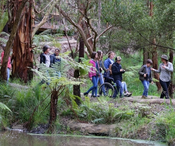 Great Ocean Road: Guided Wildlife Walk that Supports Nature